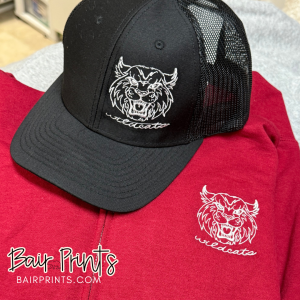 Vintage Wildcat Embroidered Hat