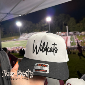 Embroidered 3D Puff Mascot Hat