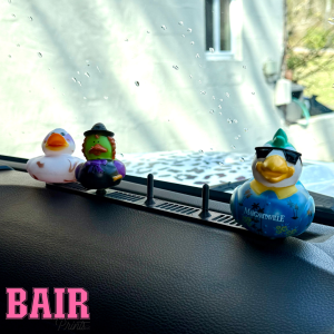 Ducks in a Row Jeep Mount